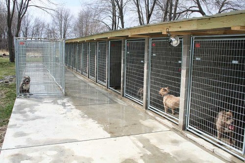 pitbull cages and kennels