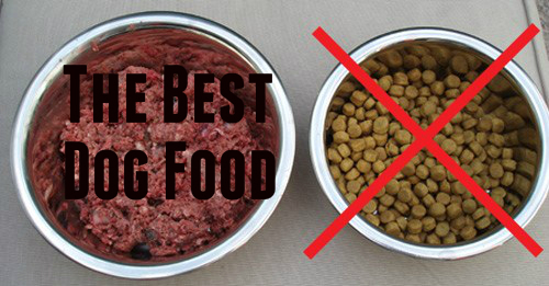 best food to feed a pitbull puppy