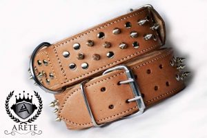 pitbull collar