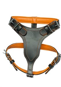 dog harness