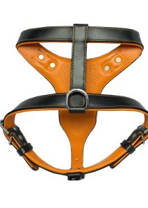 Leather dog harness