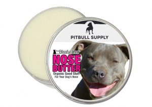 dog-dry-nose