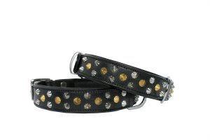 leather dog collar