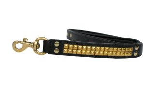 leather leash