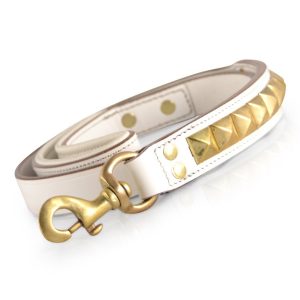leather leash