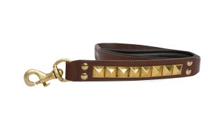 leather leash