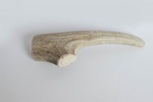 deer antler chews