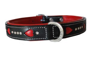girl dog collar