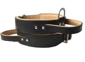 dog-collar-with-handle