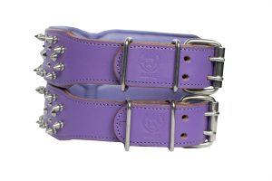 dog collar
