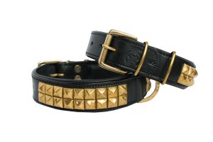 leather dog collar
