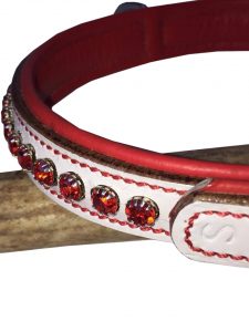 bulldog collars