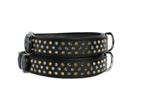 pitbull collar