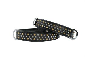 pitbull collars