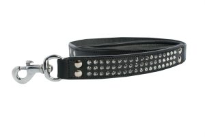 leash