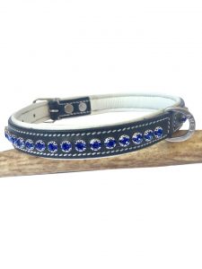 royal blue collar