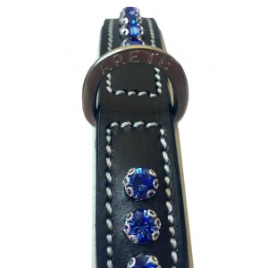 collar for dogs