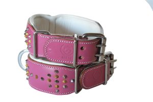 girl dog collar