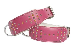 leather dog collar