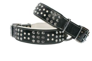 dog collars