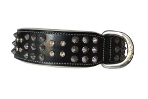 pitbull collars