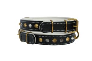 leather dog collar