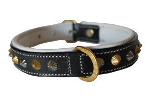 pitbull collar