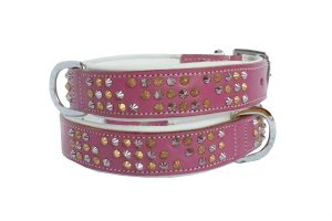 dog collar