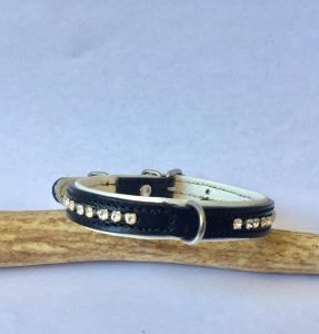amber stone dog colalr